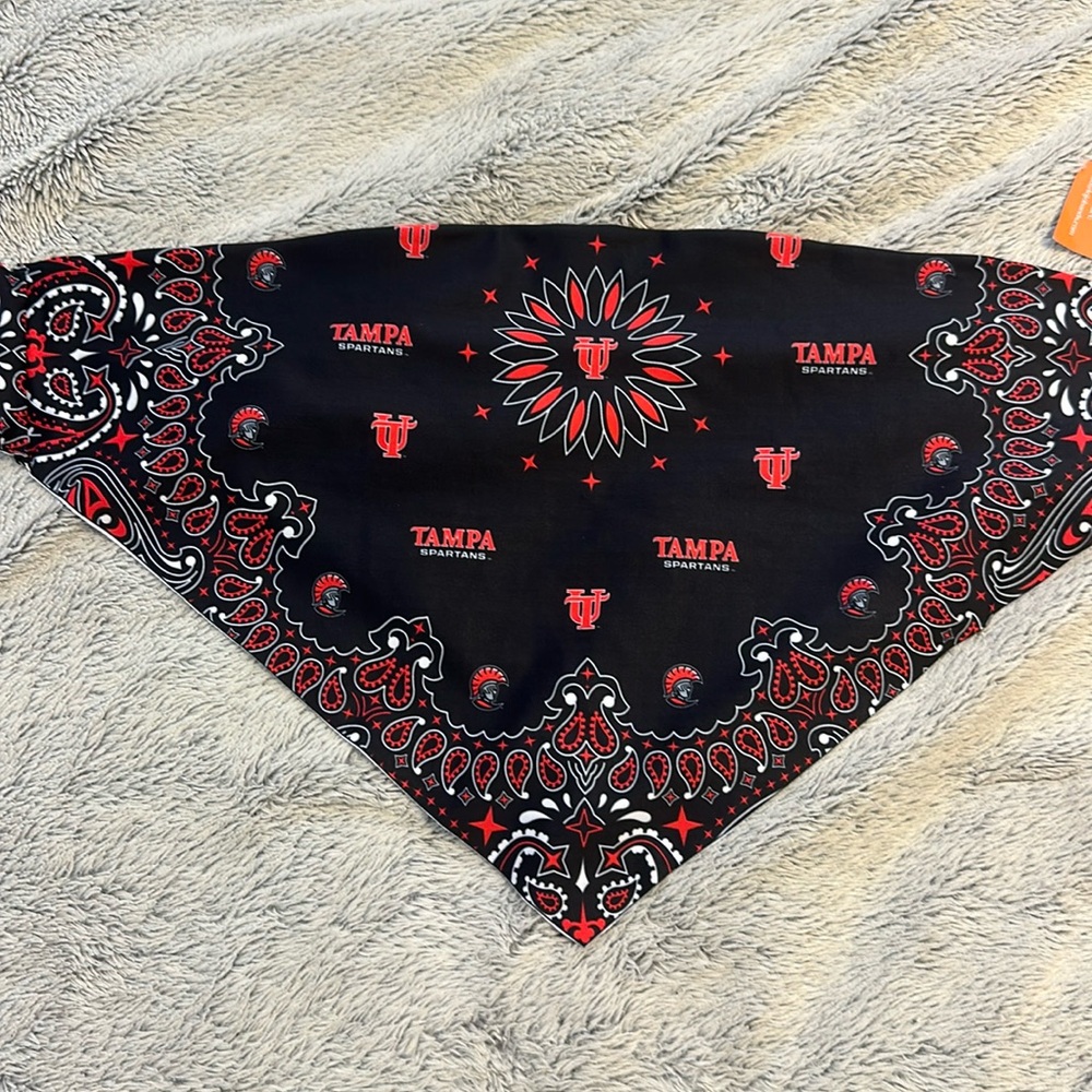 University of Tampa Bandana Crop Top